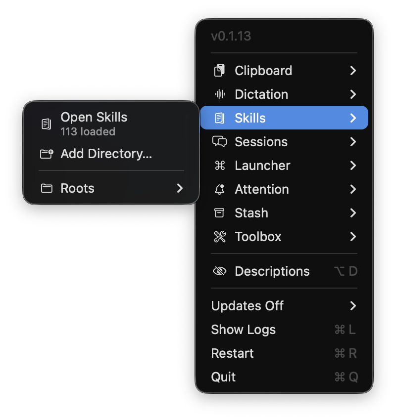 Skills menüsü — 113 loaded, Add Directory, Roots